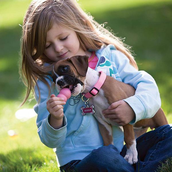 Image du produit KONG Chiot (Jouet pour chiot)