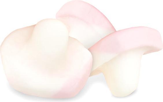 Immagine prodotto RedBand Funghi dolci 875g (1 pz., 875 g)