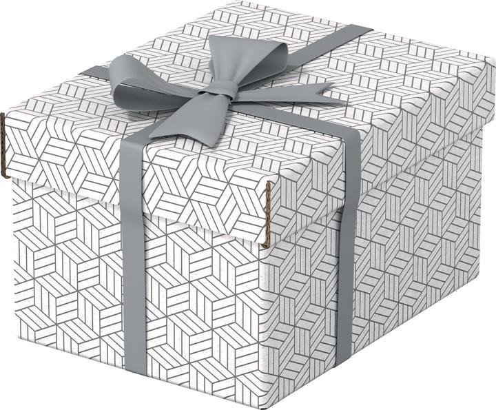 Image du produit Esselte HOME - Boîtes de rangement (20 x 15 cm)