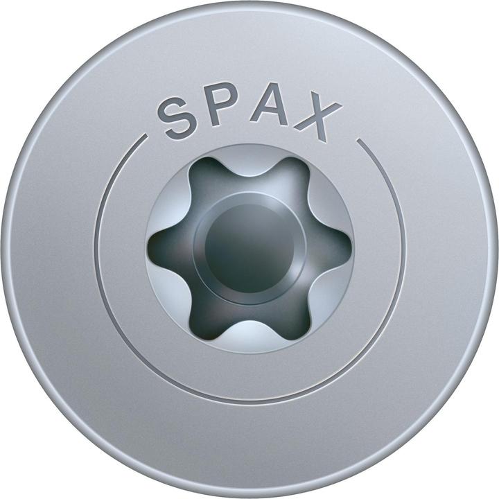 Actual product image Spax Back wall screws (300 Screws per piece)