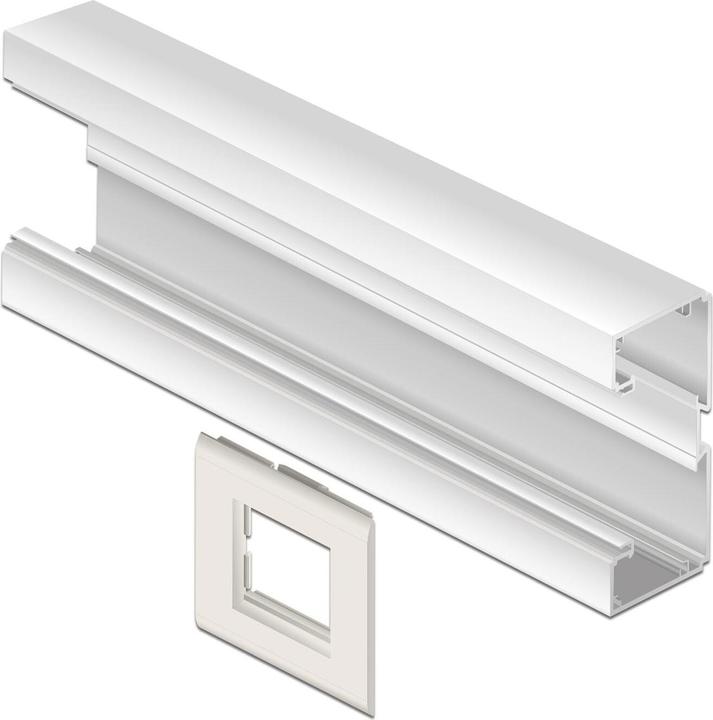 Actual product image Delock Easy 45 module support for device installation trunking 85 x 80 mm