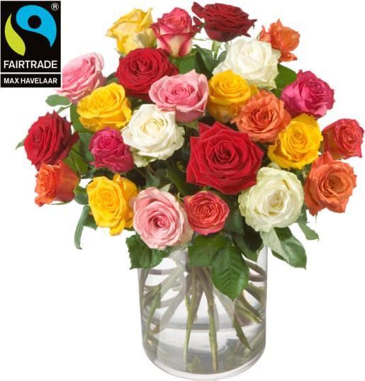 Fleurop Bouquet de roses (24 roses) avec des roses Fairtrade Max Havelaar à petites fleurs (livraison (Fleurs coupées)