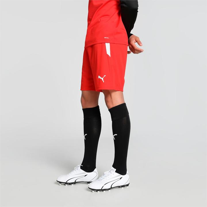 Actual product image Puma teamLIGA Shorts-704924 (L)
