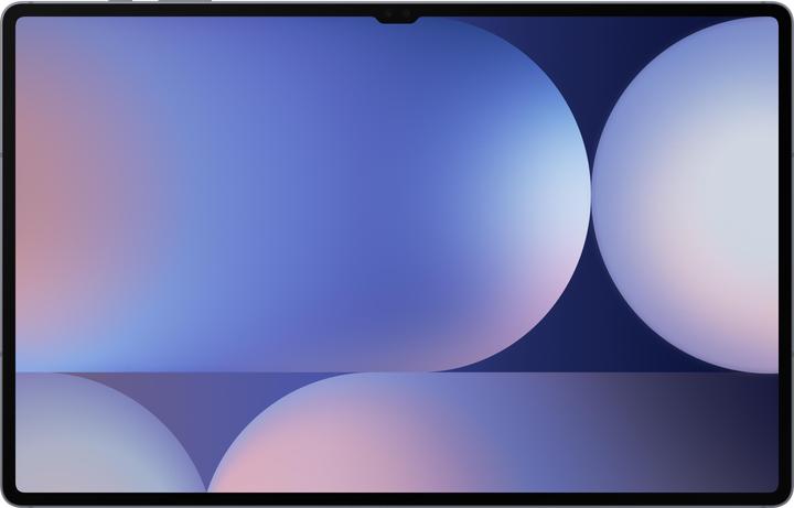Samsung Galaxy Tab S10 Ultra (5G, 14.60", 1000 GB, Moonstone Gray)