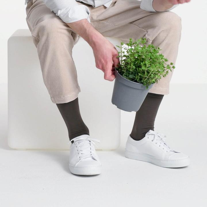 Immagine prodotto Blacksocks Comfort organico (Confezione singola, XL, 40 - 41)
