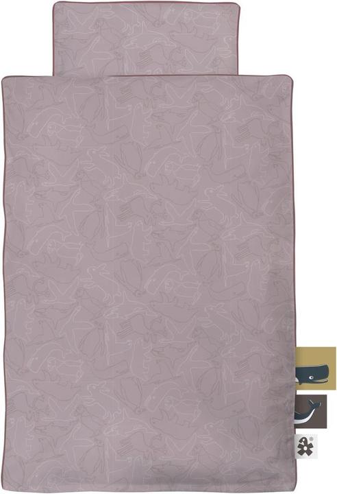 Actual product image Sebra Arctic Animals