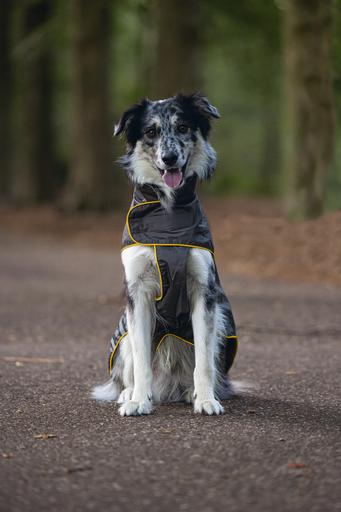 Actual product image Beeztees Seja (52, Dog raincoat)