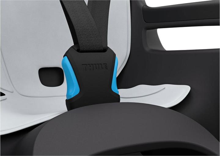 Actual product image Thule Child seat RideAlong 2 (Bike frame)