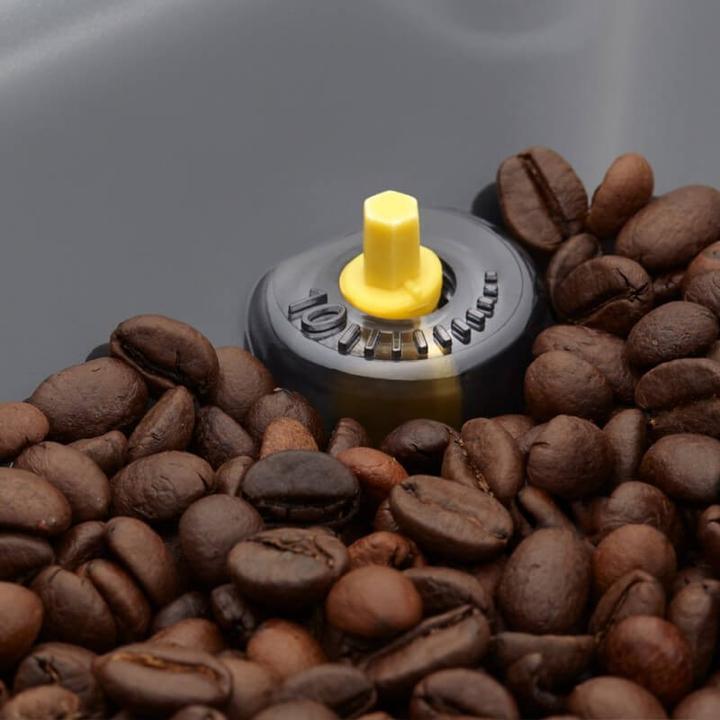 Actual product image Gaggia Cadorna Prestige
