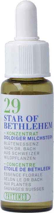 Produktbild Phytomed Bachblüten No29 Doldiger Milchstern (1 Stück, Flüssigkeit, 22 g)