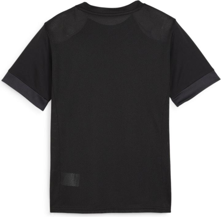 Actual product image Puma teamGOAL Matchday Jersey jr (L)