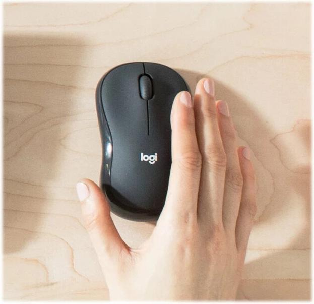 Image du produit Logitech MK295 Silent (ING. Int., Sans fil)