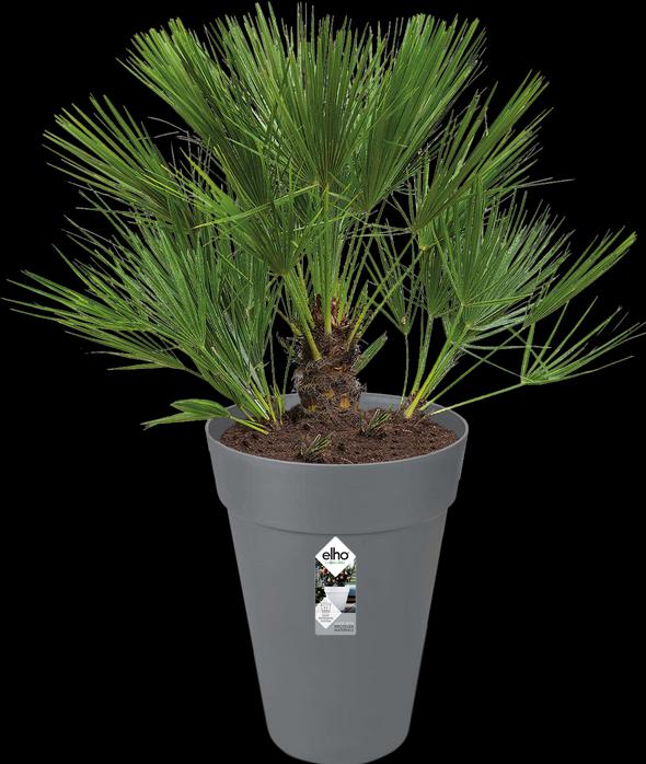 Actual product image Elho Loft Urban (33.50 cm)