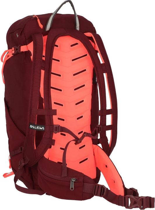 Actual product image Salewa Mountain Trainer L Backpack Da (22 l)