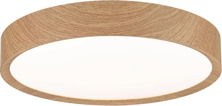Actual product image Paulmann LED ceiling light (2400 lm)