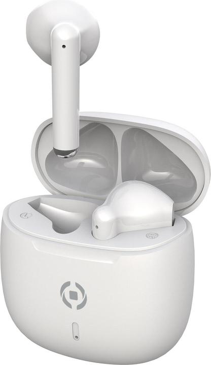 Produktbild Celly Earbuds Buz2wh White (40 h, Kabellos)