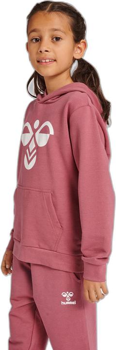 Image du produit hummel Cuatro Hoodie (128)