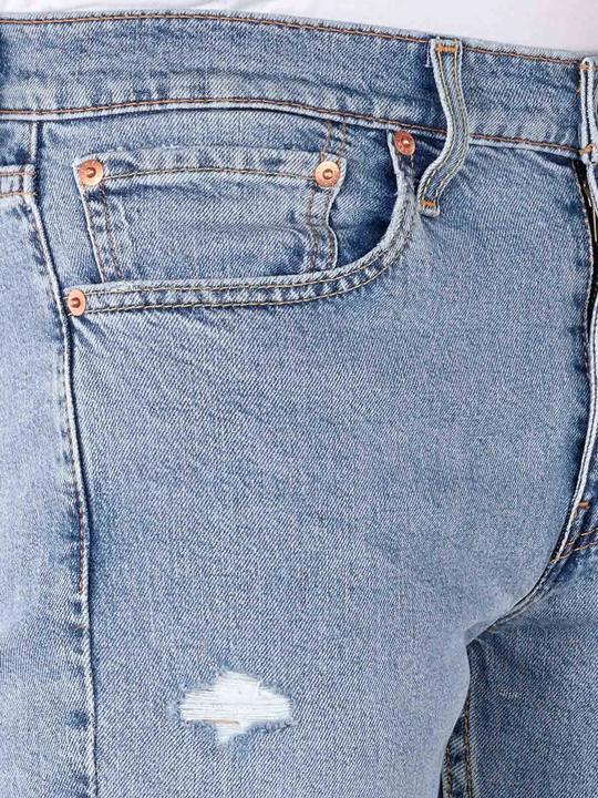 Produktbild Levis 10020219 (W42/L30)