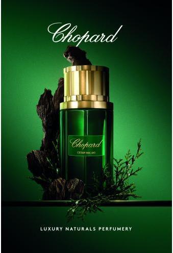 Produktbild Chopard Malaki Cedar (Eau de Parfum, 80 ml)