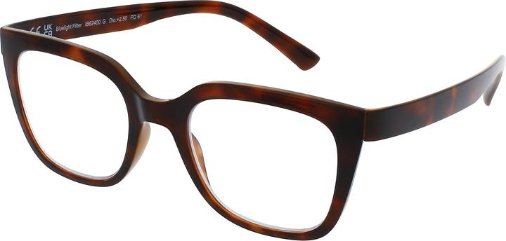Produktbild Invu Lesebrille 2.50dpt IB62400G (+2.5)