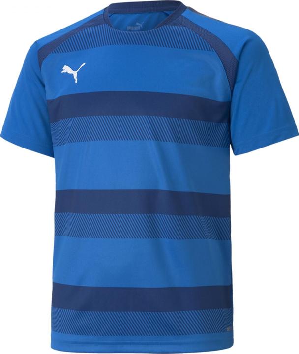 Actual product image Puma teamVISION Jersey Jr-704928 (164)