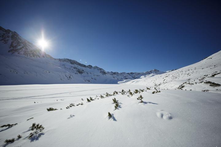 Actual product image Irix 11mm f/4.0 Blackstone Canon (Canon EF, full size)