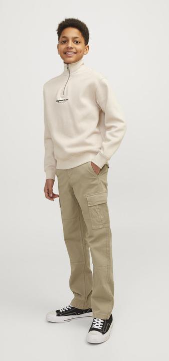 Image du produit Jack & Jones Pantalon cargo JPSTKANE (176)