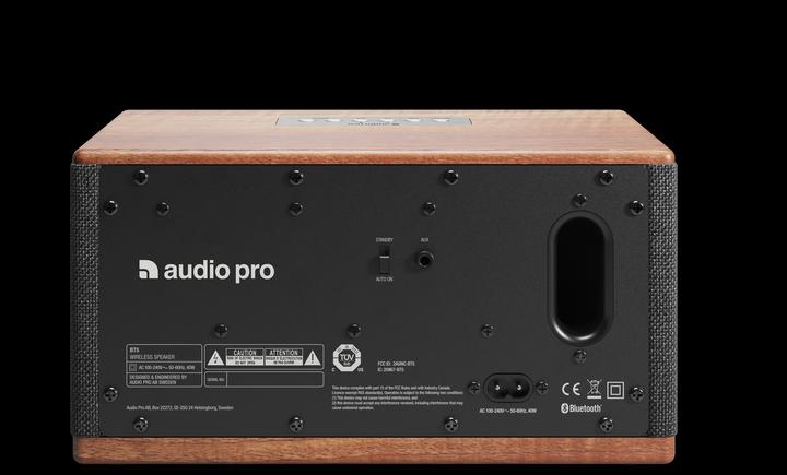 Actual product image Audio Pro BT5 (Electrical connection)