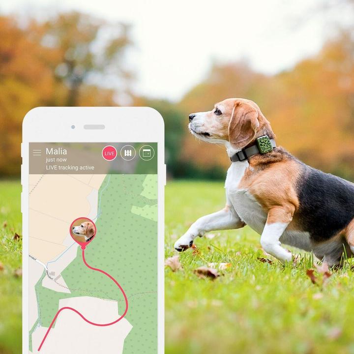 Produktbild Tractive GPS Pet Tracker (Hund)