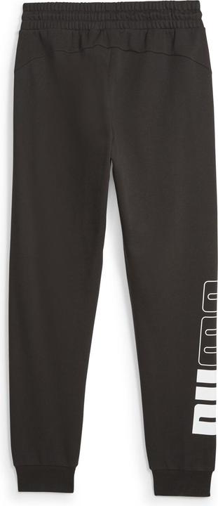 Image du produit Puma POWER Sweatpants FL cl (S)