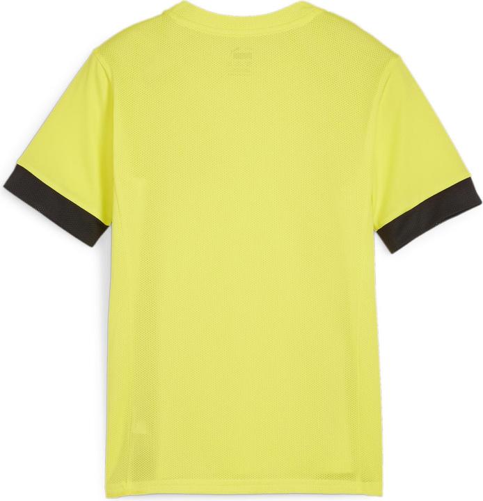 Actual product image Puma teamGOAL Matchday Jersey jr (164)