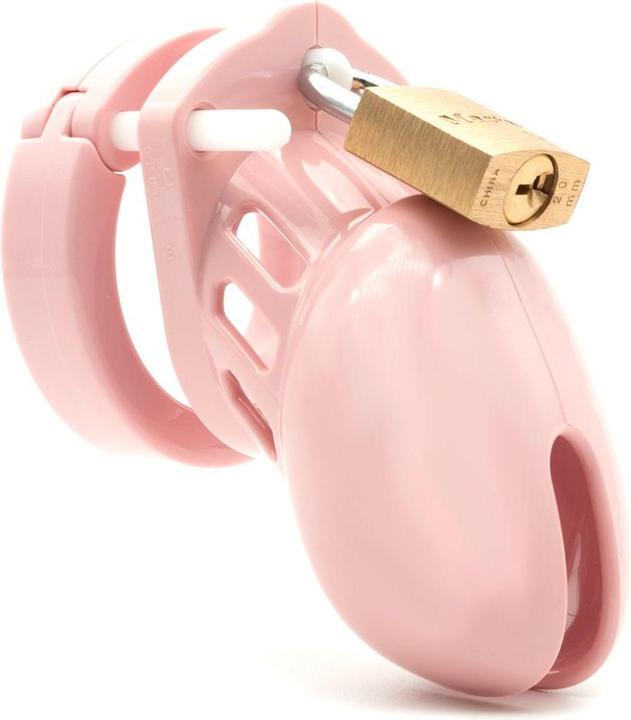Actual product image CB-X CB-6000s Kuisheidskooi