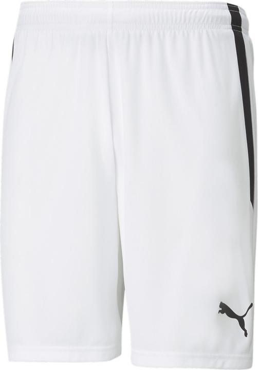 Actual product image Puma teamLIGA Shorts-704924 (M)