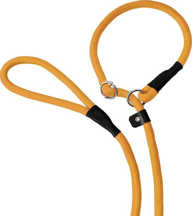 Actual product image Nobby Retriever leash Fun Uni (Dog, Dog sport)