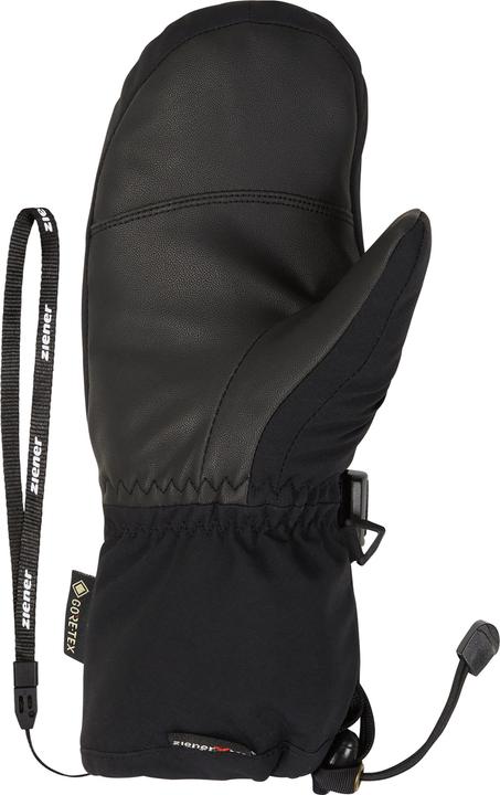 Produktbild Ziener Lanic GTX (6.5)
