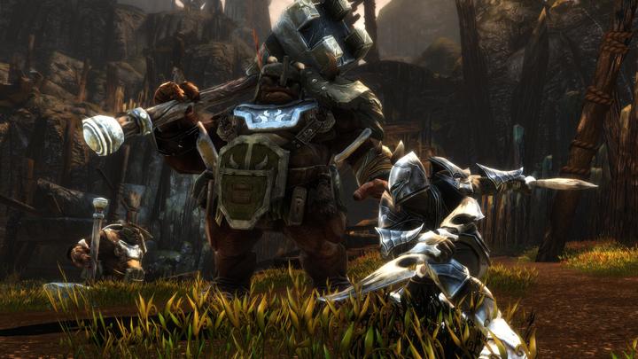 Immagine prodotto THQ Kingdoms of Amalur Re-Reckoning (PS4, EN)