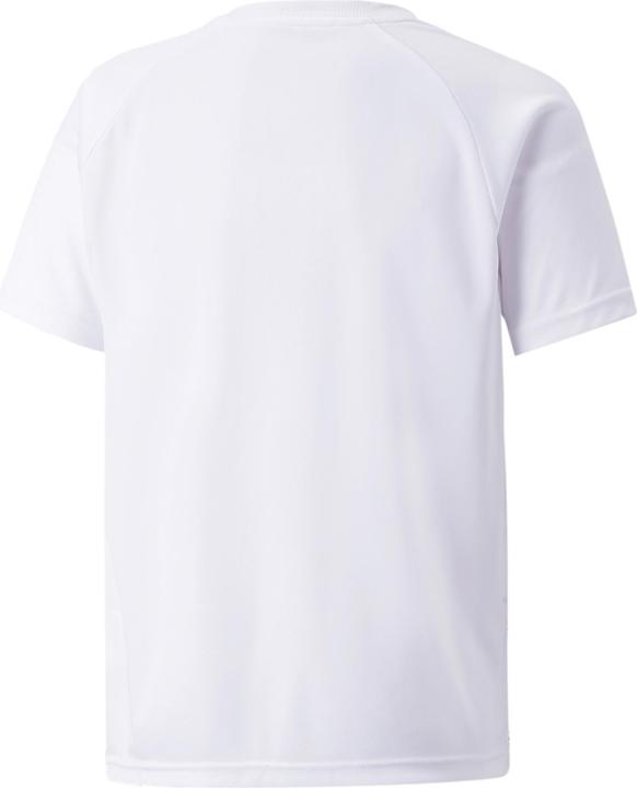 Immagine prodotto Puma maglia a righe teamLIGA Jr-704927 (164)