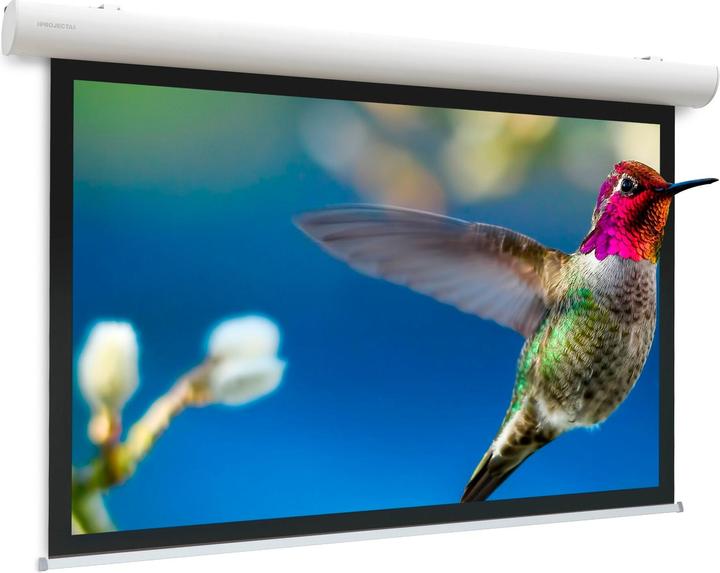 Immagine prodotto Projecta Elpro Concept RF Video Format - Schermo - Montaggio a soffitto possibile, adatto per W (133", 4:3)