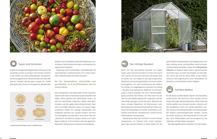 Produktbild Gemüse und Kräuter im Garten (Deutsch, Dr. Markus Phlippen, 2019)