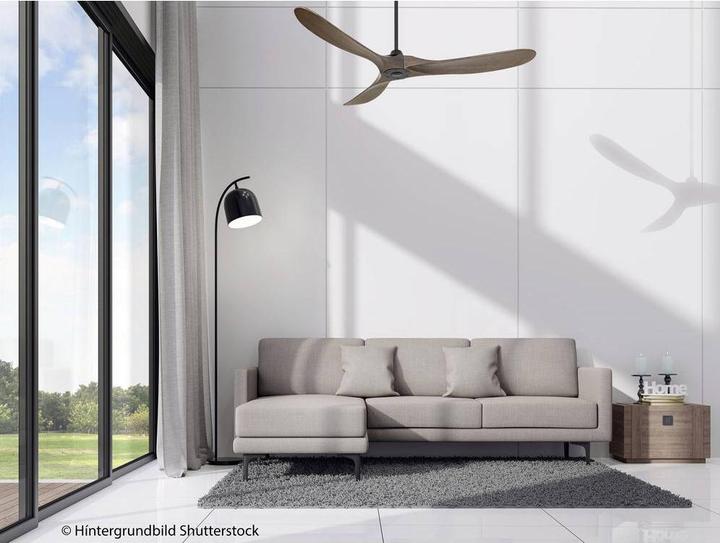 Actual product image CasaFan Eco Genuino (20 dB)