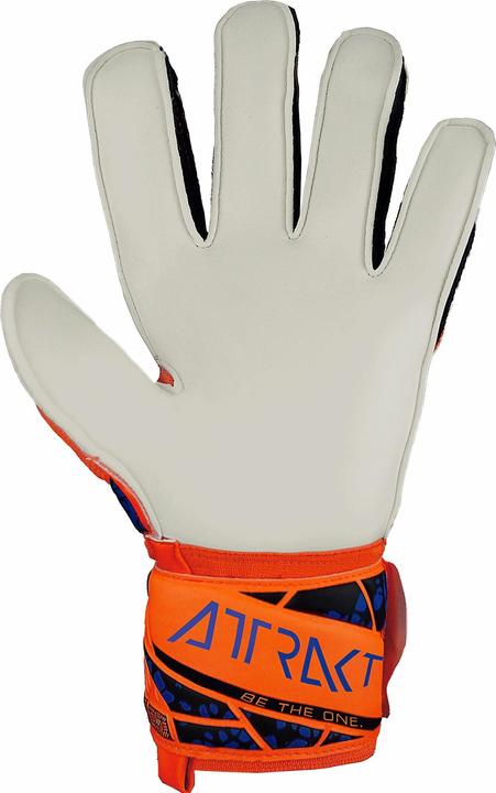 Produktbild Reusch Attrakt Solid (7.5)