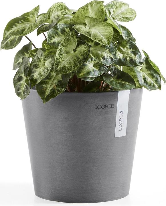 Produktbild Ecopots Amsterdam (30 cm)