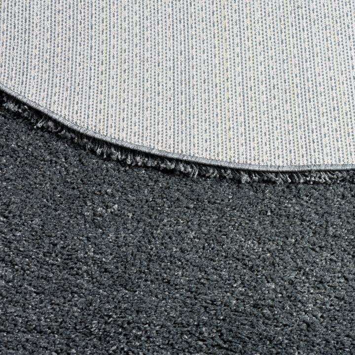 Image du produit Pergamon Tapis Shaggy à poils longs Luxury (Ø 120 cm)