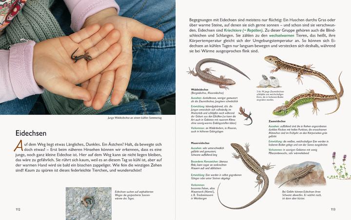 Actual product image Wawra's Naturbuch, Band 1: Säugetiere, Vögel, Reptilien, Amphibien (German, Johannes Wawra, Ursula Wawra, 2020)
