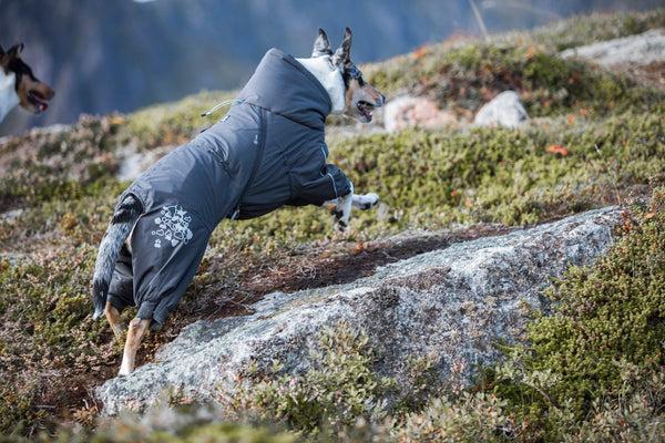 Image du produit Hurtta Extreme Overall (60, Manteau pour chien)
