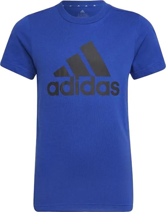 Bleu roi