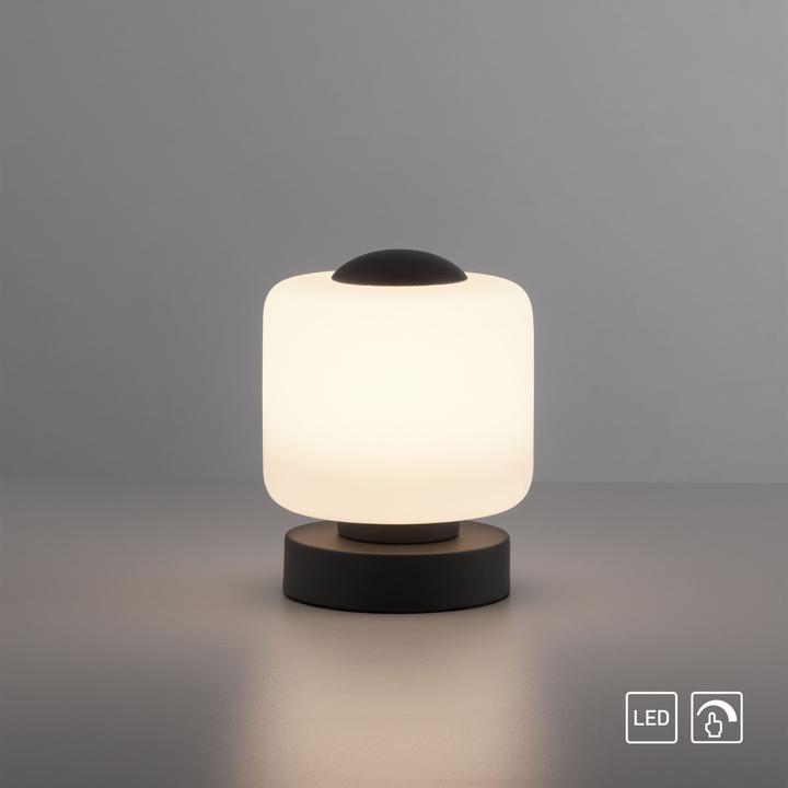 Actual product image Paul Neuhaus Bota (580 lm)