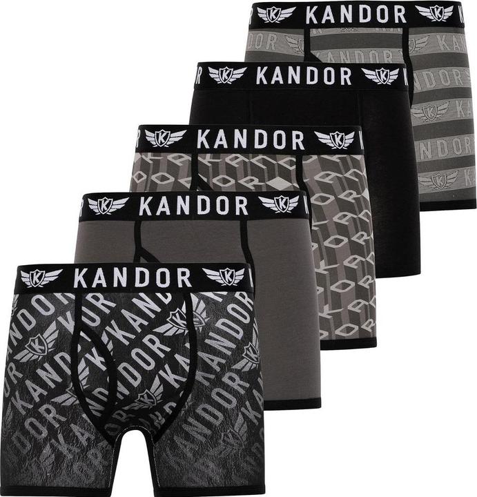 Actual product image Kandor Mens Lingo Boxer Shorts (Pack of 5) (XL)