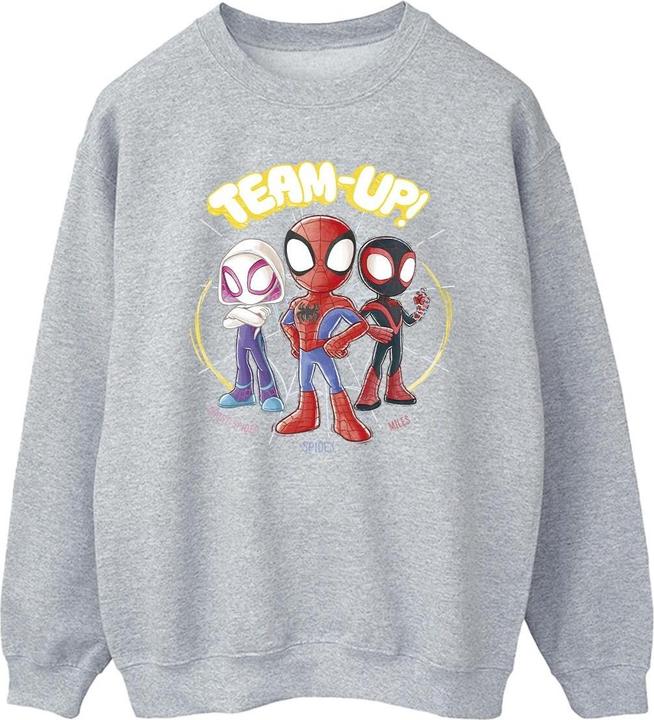 Spidey And His Amazing Friends Sketch Sweatshirt (5XL)