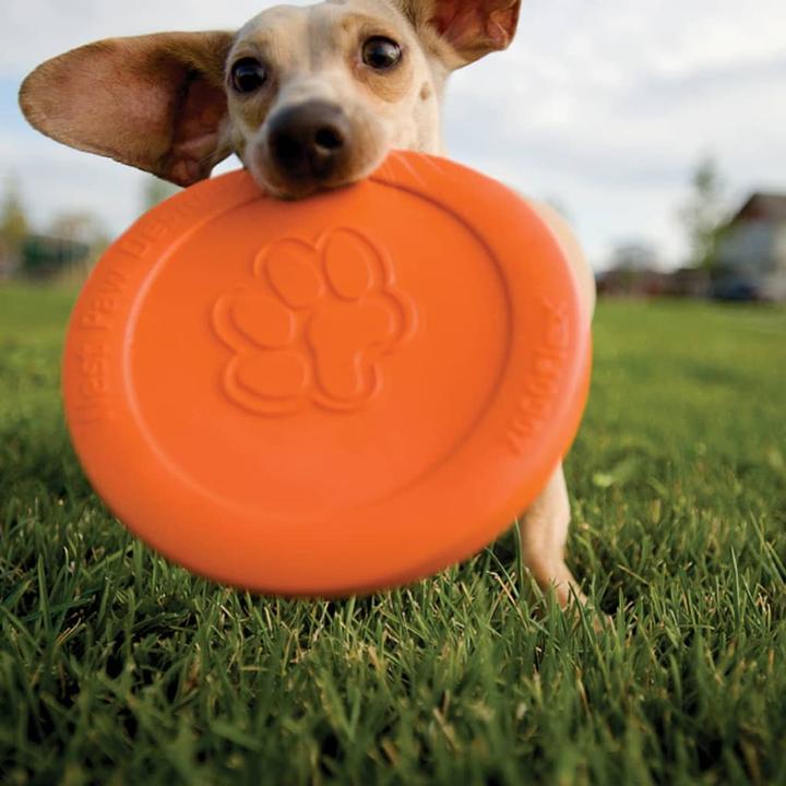 Image du produit West Paw Frisbee (Jouet à lancer chien)